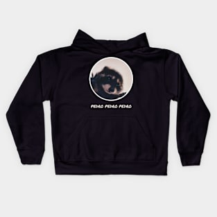 Pedro Raccoon Kids Hoodie